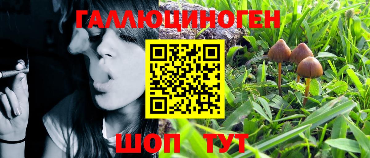 Татарск  купить наркоту  Вход с VPN  Галлюциногенные грибы MAGIC MUSHROOMS  Псилоцибиновые грибы мицелий 